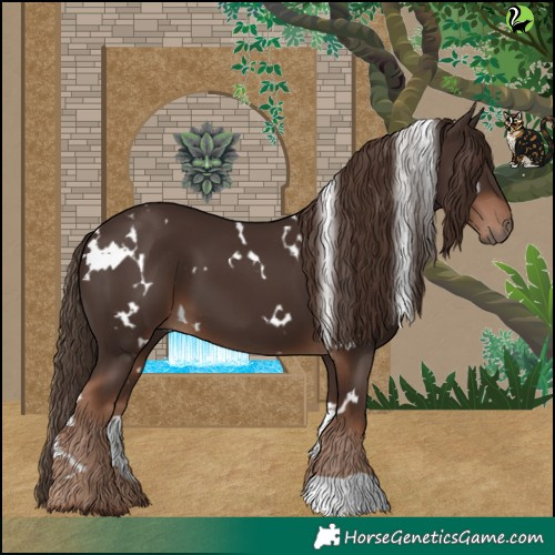 Horse Color:White Spotted Liver Chestnut 