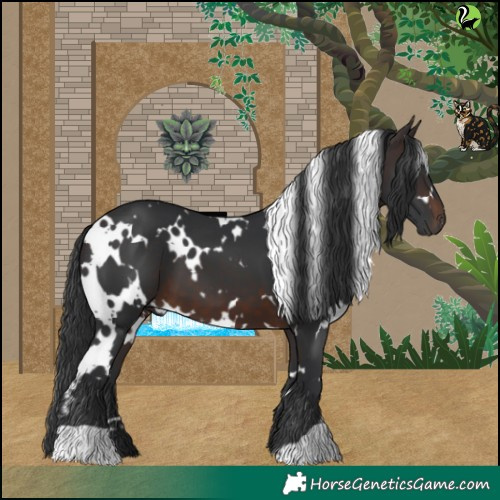 Horse Color:White Spotted Brown 