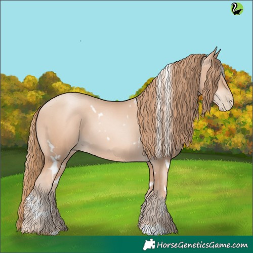 Horse Color:White Spotted Gold Champagne Pearl 