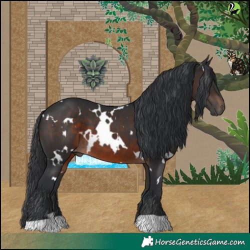 Horse Color:White Spotted Brown 