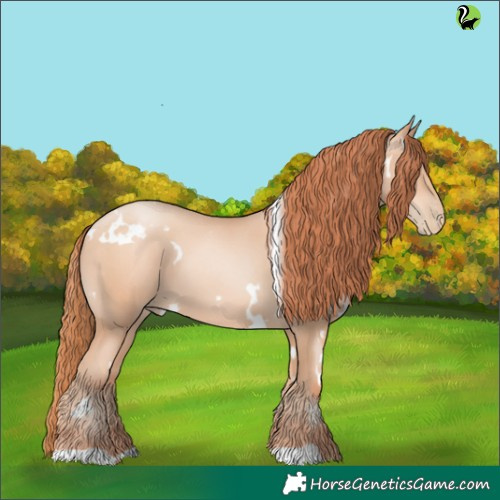 Horse Color:White Spotted Sable Champagne Pearl 