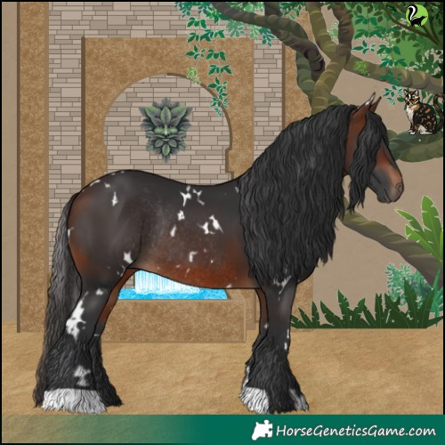 Horse Color:White Spotted Brown Rabicano 