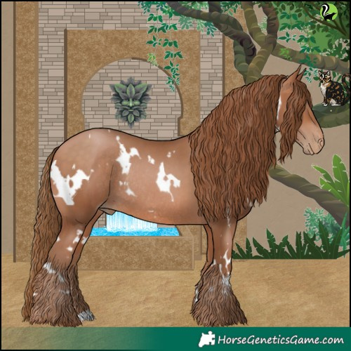 Horse Color:White Spotted Brown Pearl Rabicano 