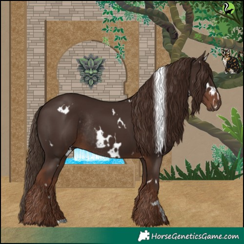 Horse Color:White Spotted Liver Chestnut Rabicano 