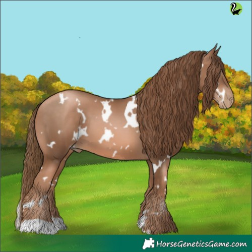 Horse Color:White Spotted Liver Chestnut Pearl