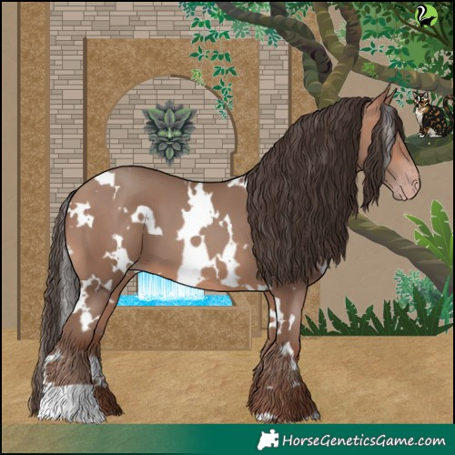 Horse Color:White Spotted Sable Champagne 