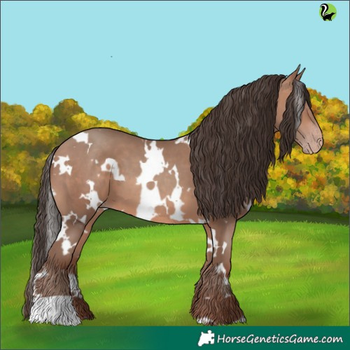 Horse Color:White Spotted Sable Champagne 