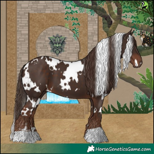 Horse Color:White Spotted Liver Chestnut 