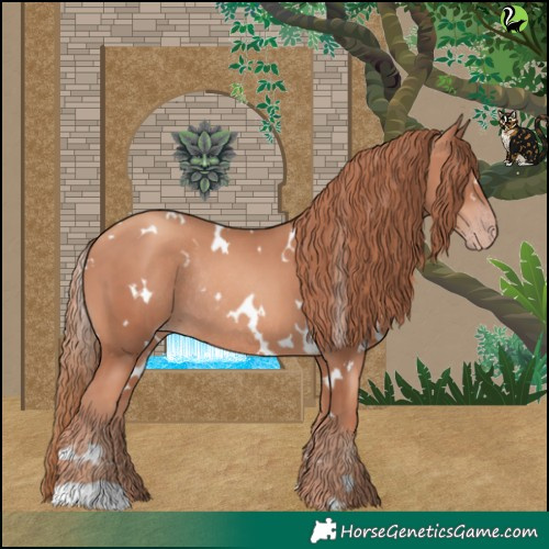 Horse Color:White Spotted Gold Champagne Rabicano 