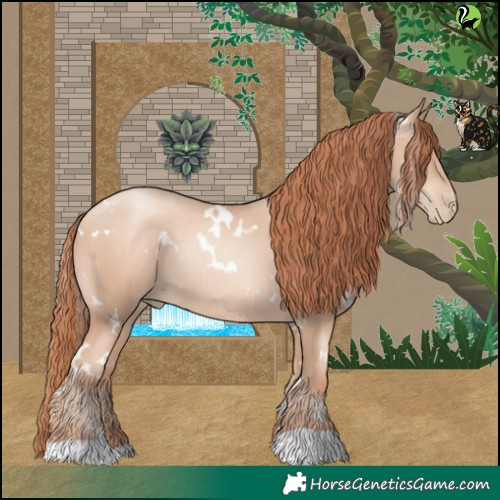 Horse Color:White Spotted Sable Champagne Pearl Rabicano 