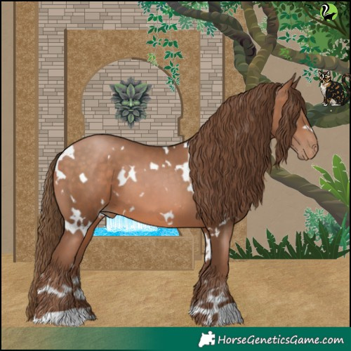 Horse Color:White Spotted Brown Pearl 