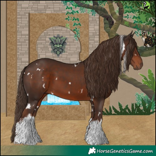 Horse Color:White Spotted Liver Chestnut 