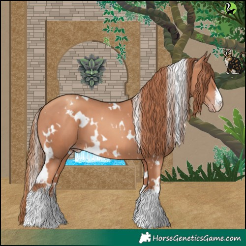 Horse Color:White Spotted Gold Champagne 