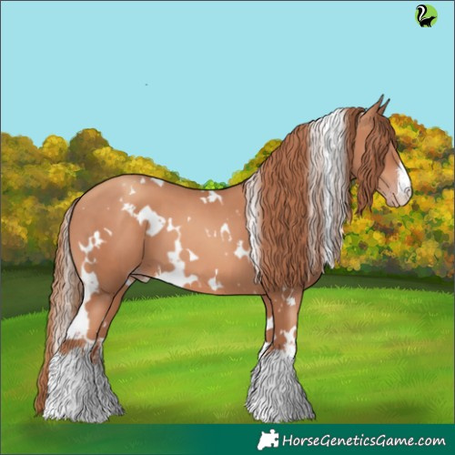 Horse Color:White Spotted Gold Champagne 