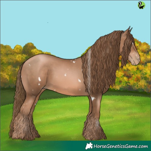 Horse Color:White Spotted Liver Chestnut Pearl 