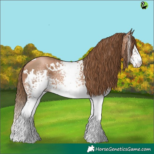 Horse Color:White Spotted Liver Chestnut Pearl 