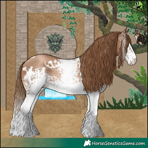 Horse Color:White Spotted Liver Chestnut Pearl 