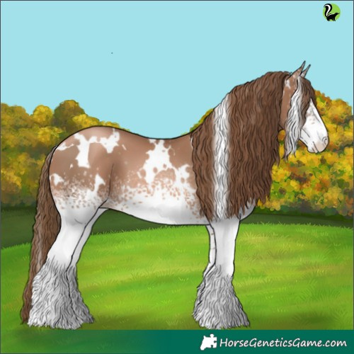 Horse Color:White Spotted Liver Chestnut Pearl