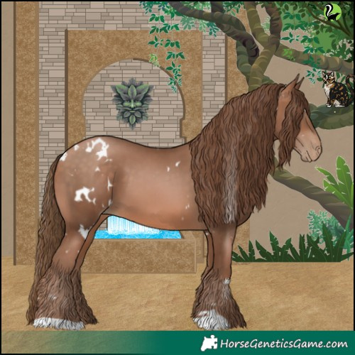 Horse Color:White Spotted Brown Pearl 