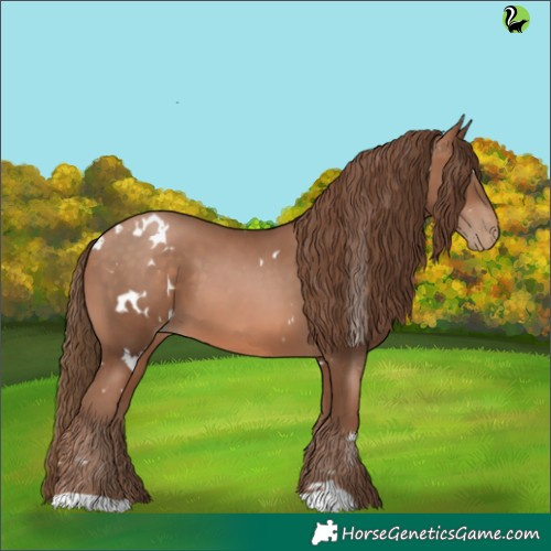 Horse Color:White Spotted Brown Pearl 