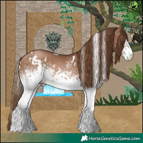 Horse Color:White Spotted Brown Pearl 