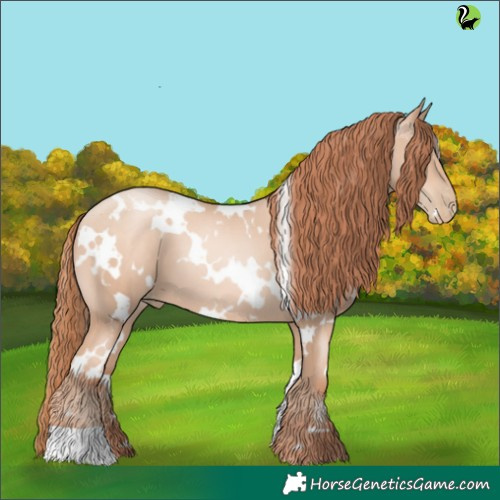 Horse Color:White Spotted Sable Champagne Pearl 