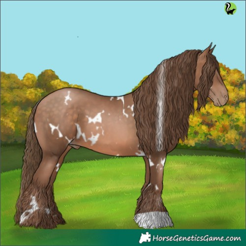 Horse Color:White Spotted Brown Pearl 
