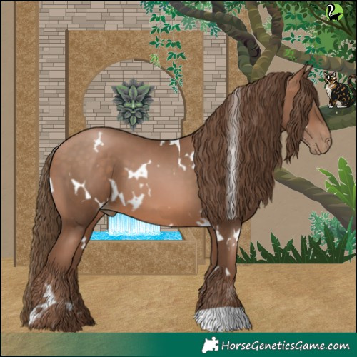 Horse Color:White Spotted Brown Pearl 