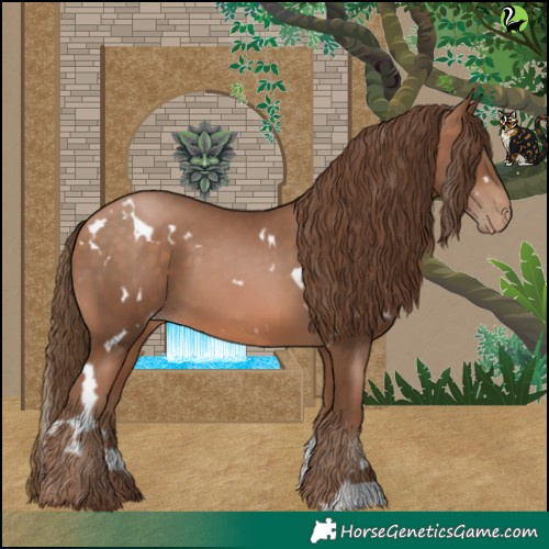 Horse Color:White Spotted Brown Pearl 