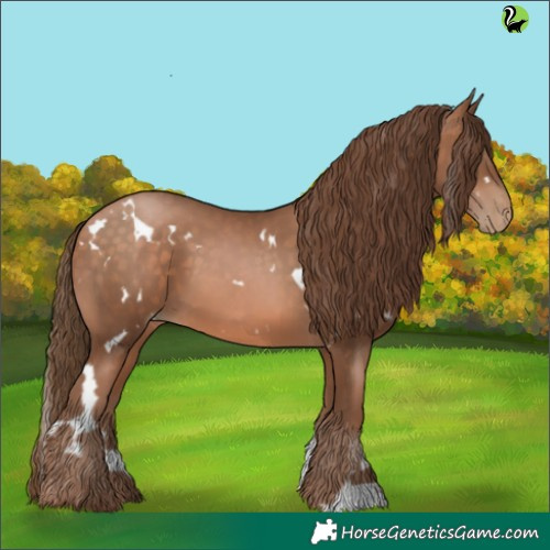 Horse Color:White Spotted Brown Pearl 