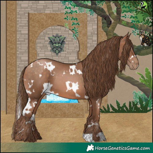 Horse Color:White Spotted Brown Pearl 