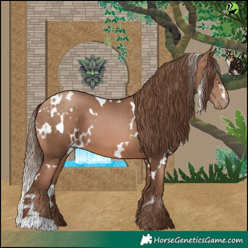 Horse Color:White Spotted Brown Pearl 