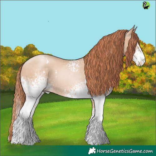 Horse Color:White Spotted Sable Champagne Pearl 