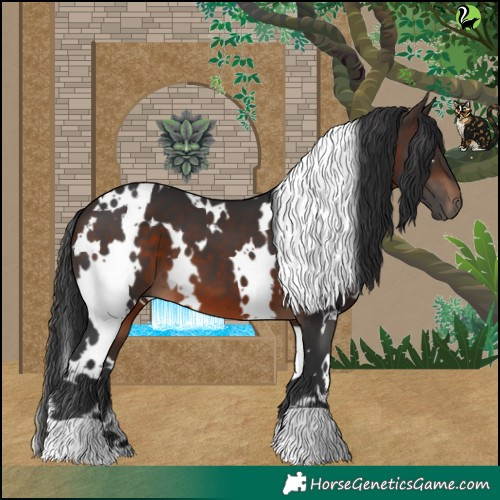 Horse Color:White Spotted Brown 