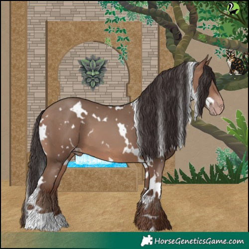Horse Color:White Spotted Sable Champagne 