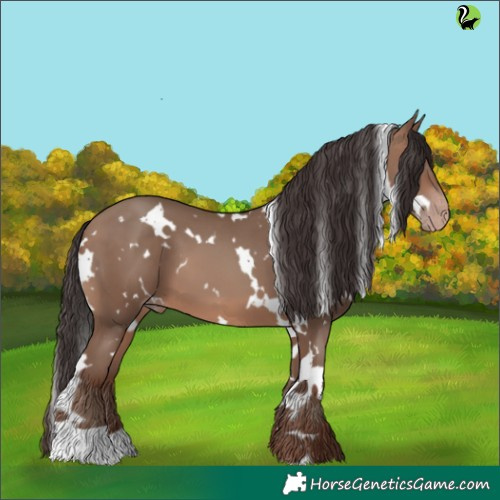 Horse Color:White Spotted Sable Champagne