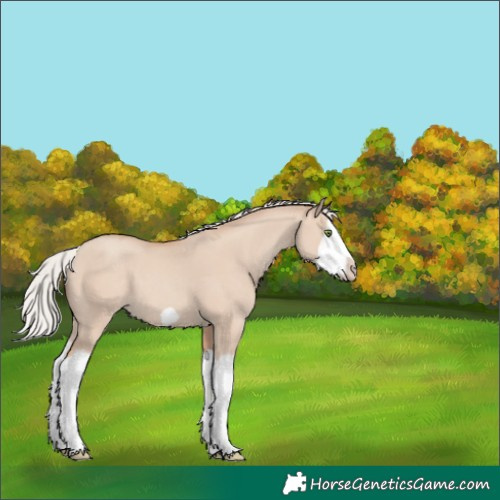Horse Color:Silver Classic Champagne Dun Splash Frame 