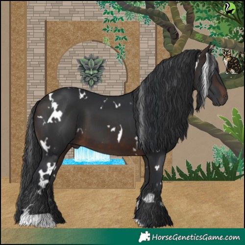 Horse Color:White Spotted Brown 