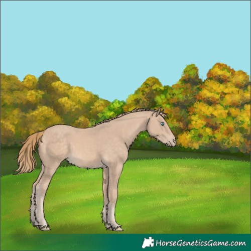 Horse Color:Perlino 