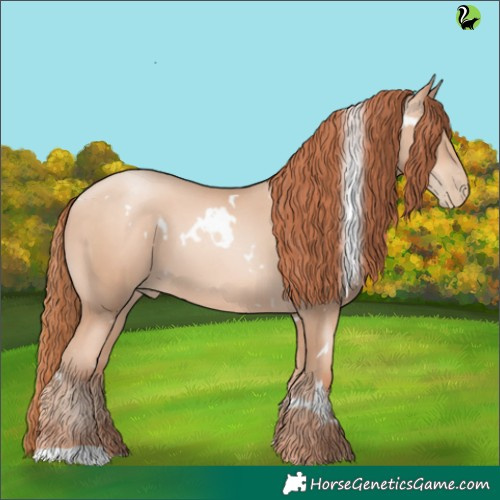 Horse Color:White Spotted Sable Champagne Pearl 
