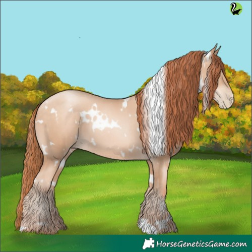 Horse Color:White Spotted Sable Champagne Pearl 