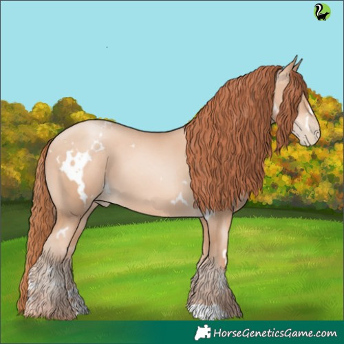 Horse Color:White Spotted Sable Champagne Pearl 