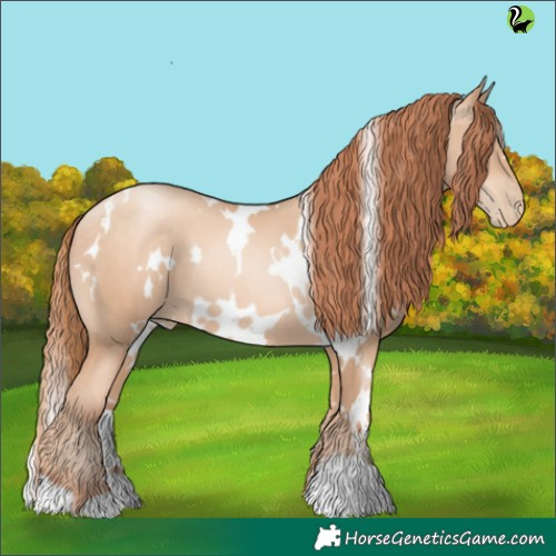 Horse Color:White Spotted Sable Champagne Pearl 