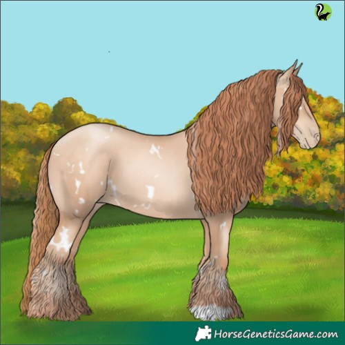 Horse Color:White Spotted Sable Champagne Pearl 