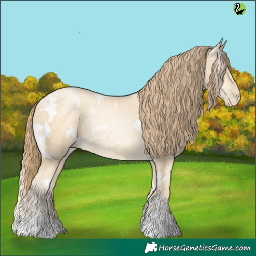Horse Color:White Spotted Sable Cream Champagne Pearl