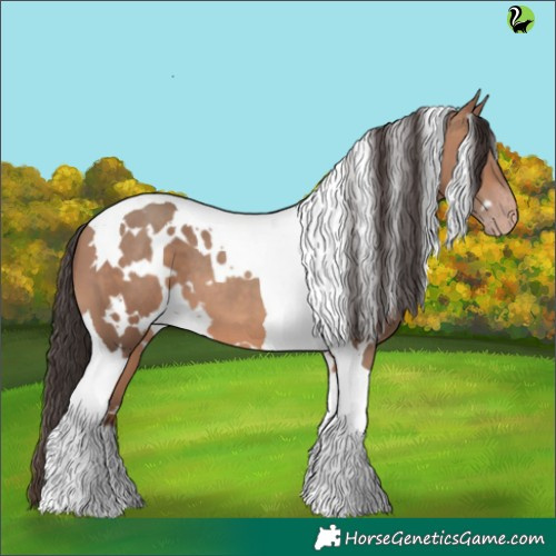Horse Color:White Spotted Sable Champagne Tobiano