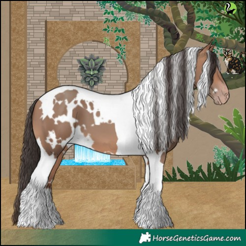 Horse Color:White Spotted Sable Champagne Tobiano 