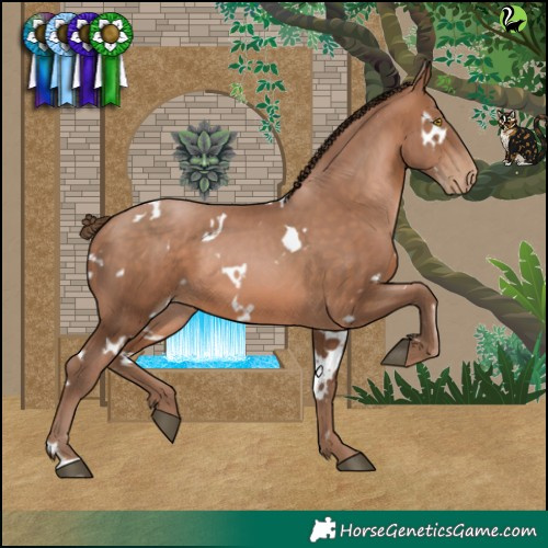 Horse Color:White Spotted Brown Pearl 