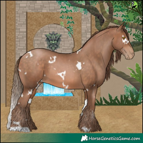 Horse Color:White Spotted Brown Pearl 