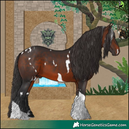 Horse Color:White Spotted Brown Tobiano 